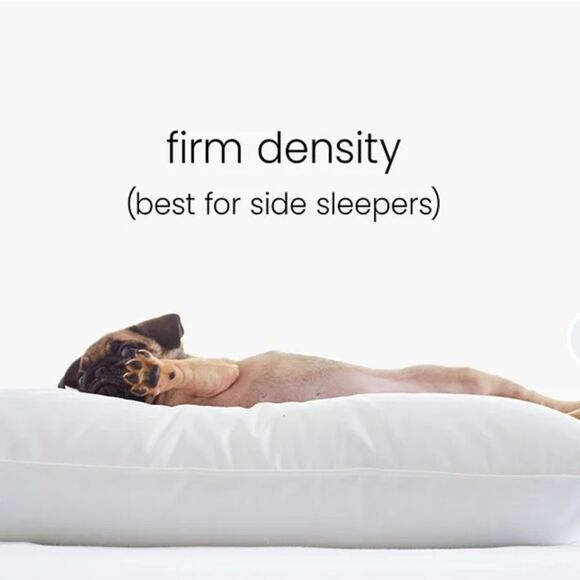 New The Company Store Legends Hotel Best Down Queen Pillow 75% Down Firm Density - Picture 4 of 14